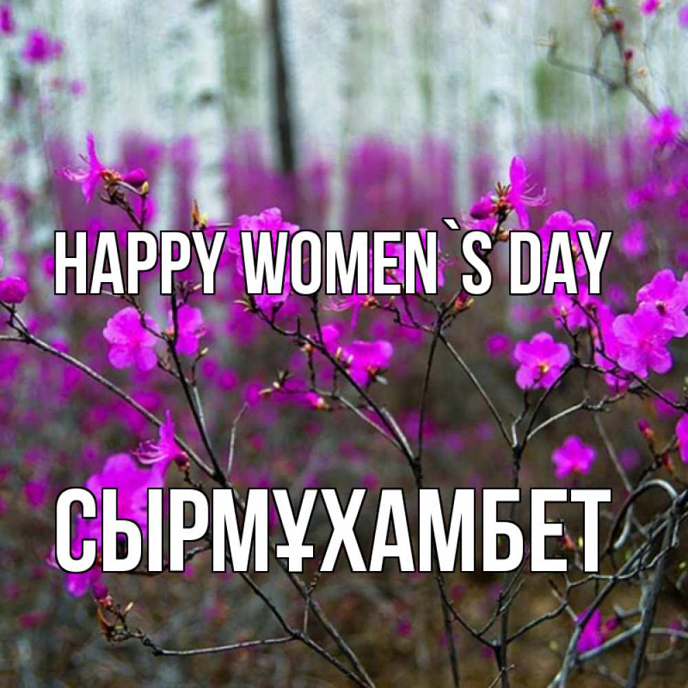 Greetings card с именем, СЫРМҰХАМБЕТ happy women`s day дикие цветы Greetings with text for free download 